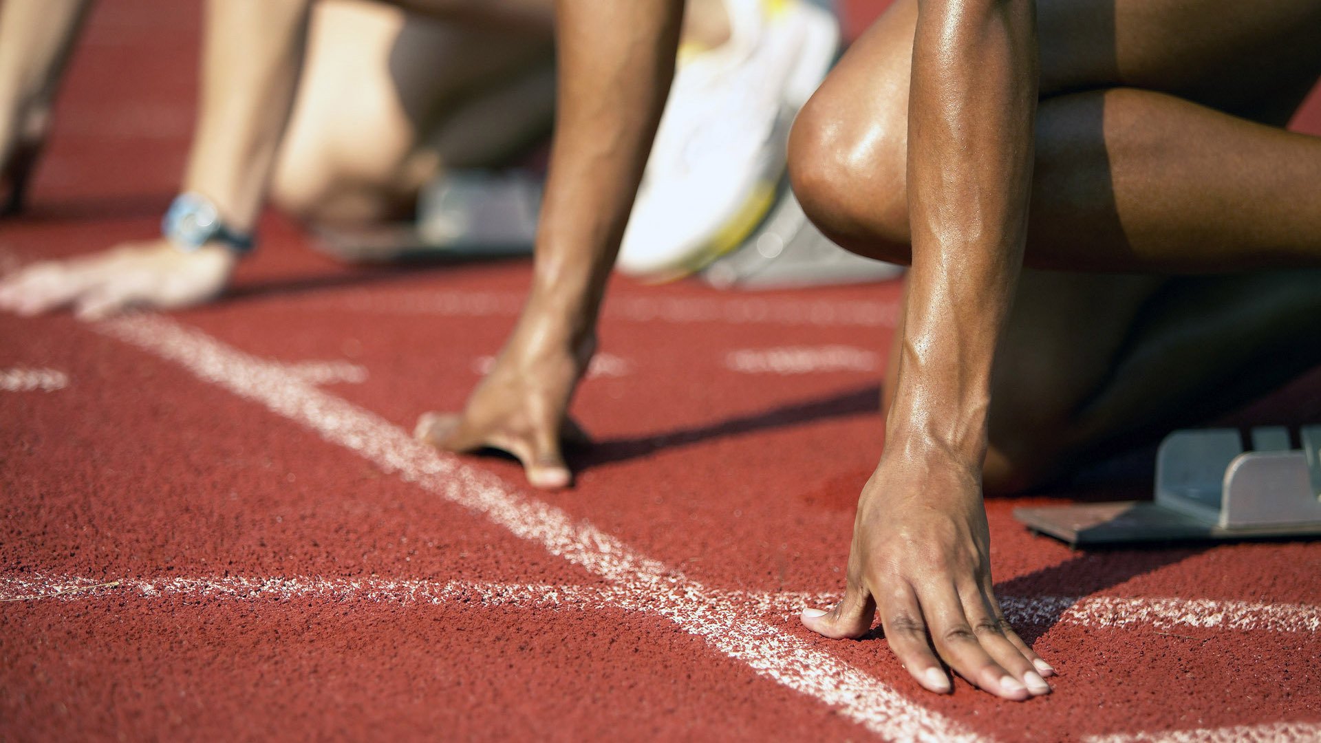 自由泳接力冲刺中立代表队A赢得掌声，自由泳接力名单