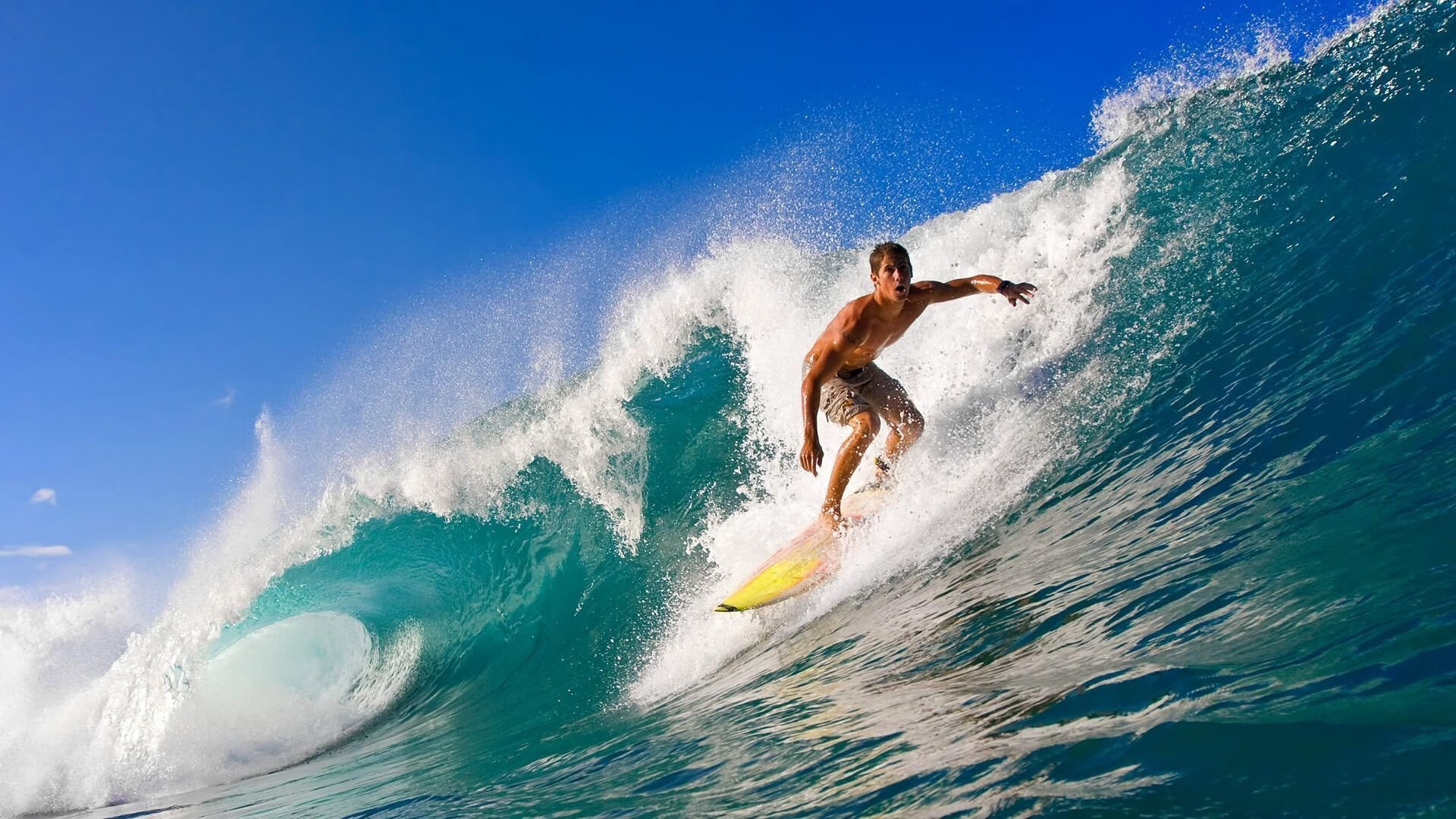 体育新闻中心强化对体校体系的传播服务支持,体育新闻专题报道